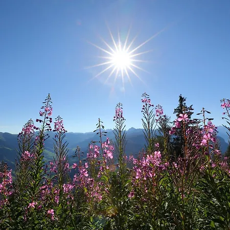 Apartmán Wallnerhof