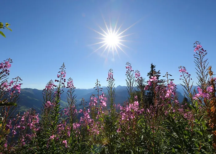 Apartmán Wallnerhof
